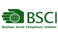 BSCI驗(yàn)廠操作指引流程 BSCI驗(yàn)廠操作指引流程